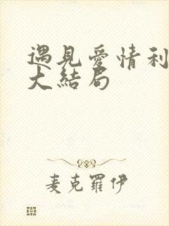 遇见爱情利先生大结局