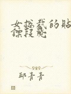 女总裁的贴身保镖段飞