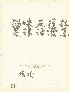 猫咪反复拉稀但是很活泼怎么回事