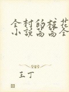 全村的校花妹妹小说茜茜全文阅读