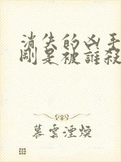 消失的凶手段志刚是被谁杀的封面