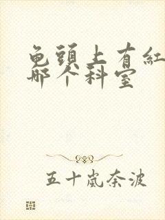 龟头上有红斑挂哪个科室