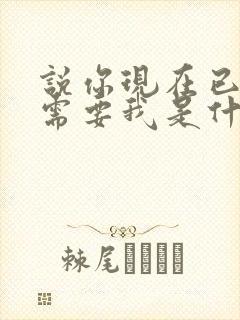 说你现在已不再需要我是什么歌