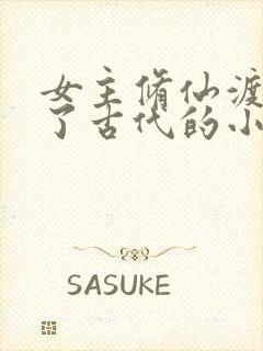 女主修仙渡劫到了古代的小说封面