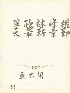 宁欣林峰权势滔天最新章节封面