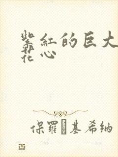 紫红的巨大顶开花心