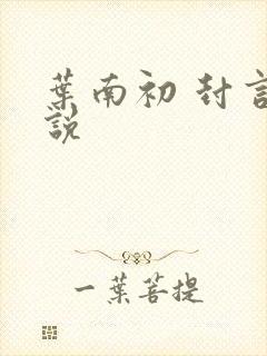 叶南初 封言小说