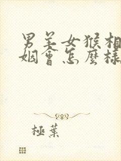 男羊女猴相配婚姻会怎么样