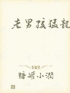 老男孩猛龙过江封面