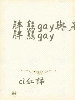胖熊gay与老胖熊gay