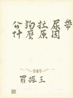 公狗拉尿带血是什么原因