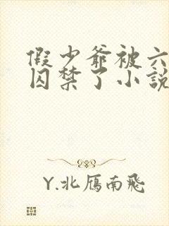 假少爷被六个哥囚禁了小说在线阅读封面