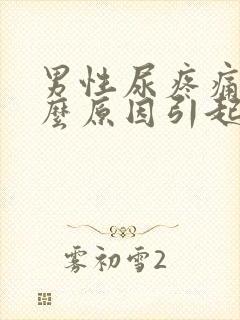 男性尿疼痛是什么原因引起的