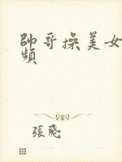 帅哥操美女,视频