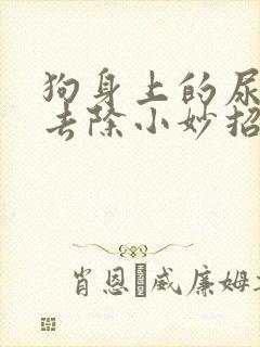 狗身上的尿骚味去除小妙招封面