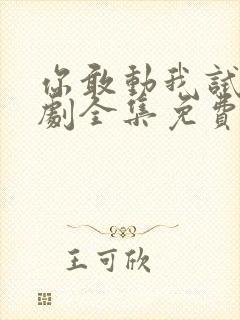 你敢动我试试短剧全集免费观看