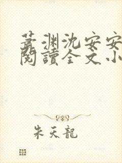 萧渊沈安安免费阅读全文小说封面