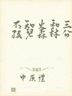 不知火和三个小孩儿森林公园封面