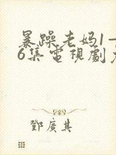 暴躁老妈1—46集电视剧免费观看下载封面