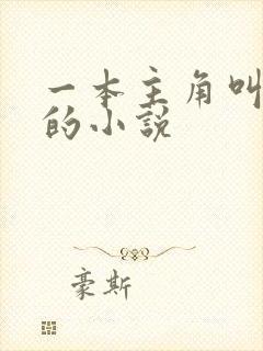 一本主角叫林萧的小说