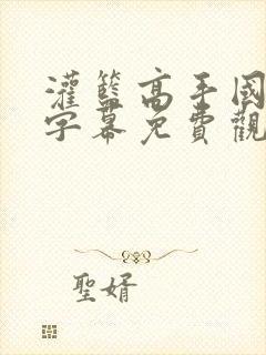 灌篮高手国语版字幕免费观看