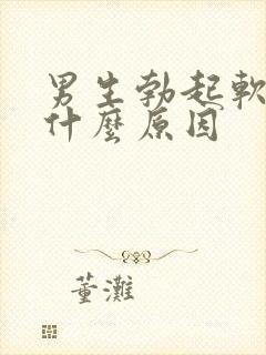 男生勃起软的快什么原因