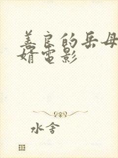 善良的岳母爱女婿电影