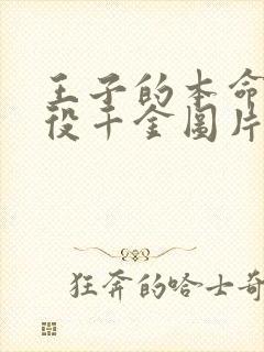 王子的本命是恶役千金图片封面