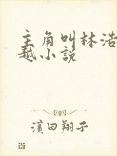 主角叫林浩的穿越小说