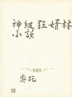 神级狂婿林凡 小说封面