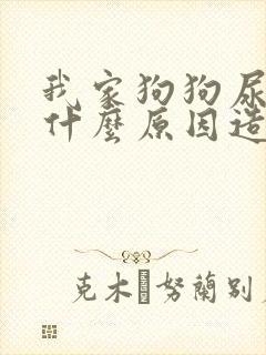 我家狗狗尿血是什么原因造成的