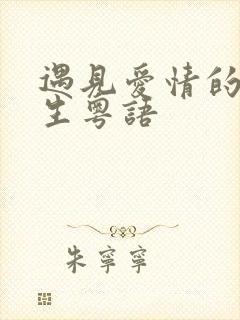 遇见爱情的利先生粤语封面