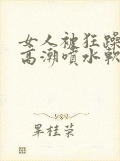 女人被狂躁c到高潮喷水软件