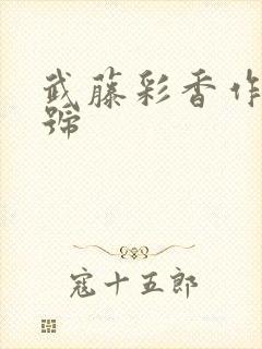 武藤彩香作品番号