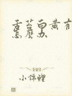 舌苔白黄有齿痕怎么办