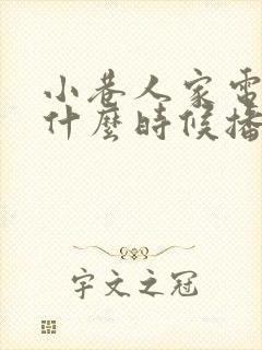 小巷人家电视剧什么时候播出封面