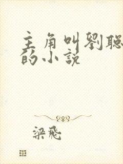 主角叫刘聪赵兰的小说