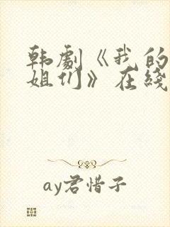 韩剧《我的好姐姐们》在线观看