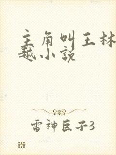 主角叫王林的穿越小说