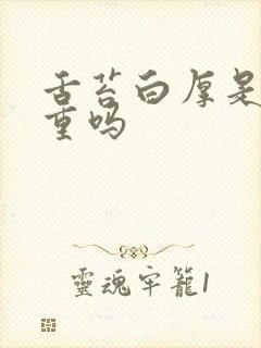 舌苔白厚是湿气重吗封面