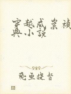 穿越成崇祯的经典小说