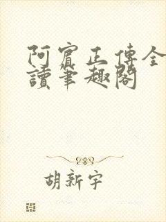 阿宾正传全文阅读笔趣阁封面