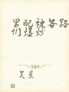 男配被各路大佬们爆炒