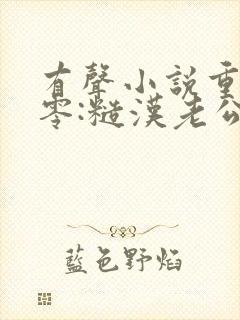 有声小说重生八零:糙汉老公扛回家