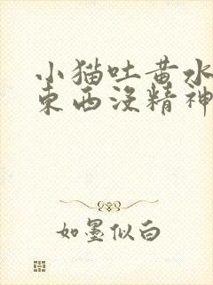 小猫吐黄水不吃东西没精神怎么办