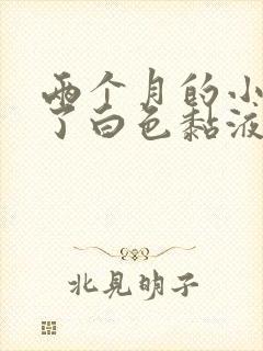 两个月的小猫吐了白色黏液或泡沫