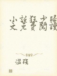 小说狂少归来全文免费阅读完整版封面