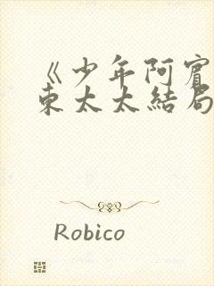 《少年阿宾》房东太太结局