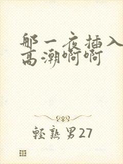 那一夜插入少妇高潮啊啊