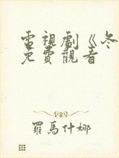 电视剧《冬至》免费观看